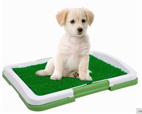 Tapete de Entrenamiento para Perros Pequeños 🐶✨ (Reutilizable)