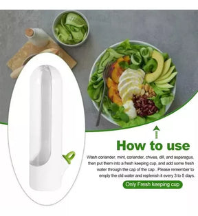 Conservador de Alimentos para Nevera 🥬 Mantén Frutas y Verduras Frescas